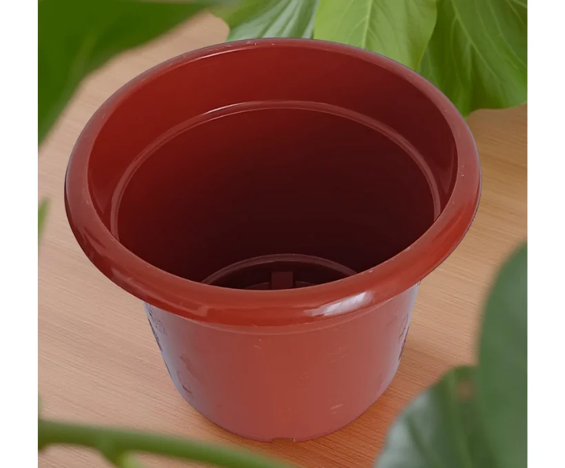 Maceta Vale #3 - Imagen 2